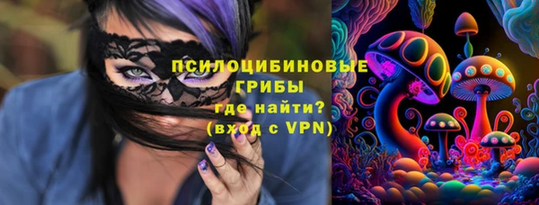 марки lsd Переславль-Залесский